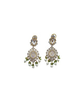 Elegent Fancy Earrings - Article ER-003