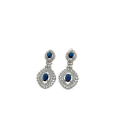Elegent Fancy Earrings - Article ER-005