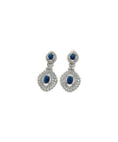 Elegent Fancy Earrings - Article ER-005