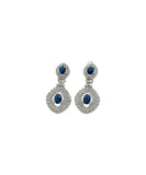 Elegent Fancy Earrings - Article ER-005