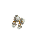 Elegent Fancy Earrings - Article ER-002